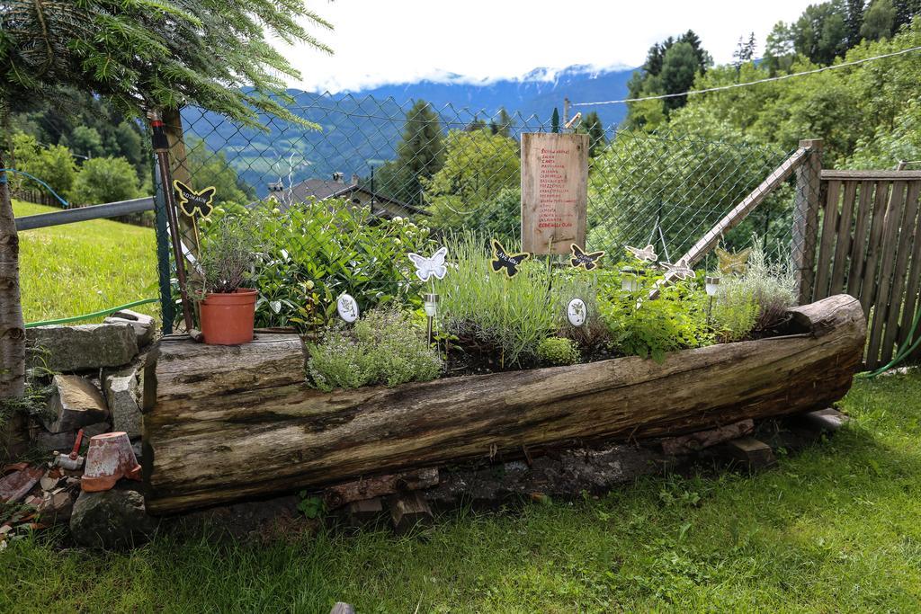 Bauernof Mittermueller Apartment Feldthurns Luaran gambar